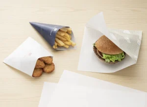 Oil-resistant Paper