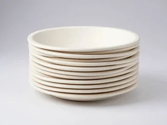 Bagasse Products