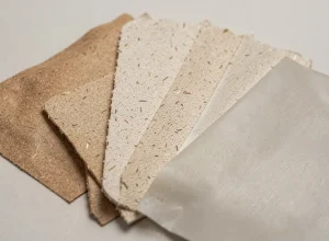 Biodegradable Packaging