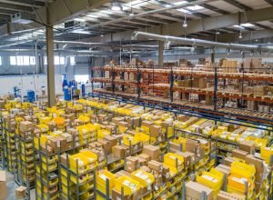 Sustainable packaging materials with eco-friendly boxes